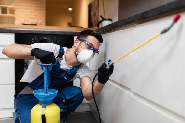 Best Mosquito Control Services  in Shelter Island Heights, NY