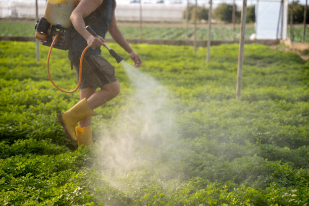 Best Pest Prevention Services  in Shelter Island Heights, NY