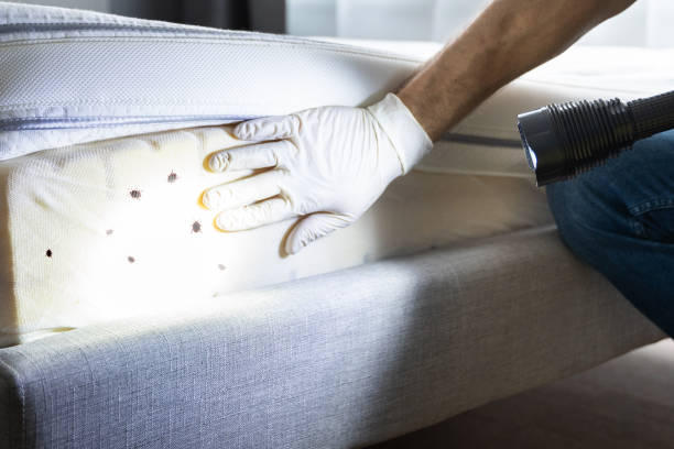 Best Residential Pest Control  in Shelter Island Heights, NY