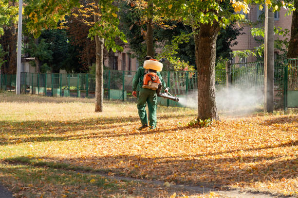 Best Insect Control  in Shelter Island Heights, NY